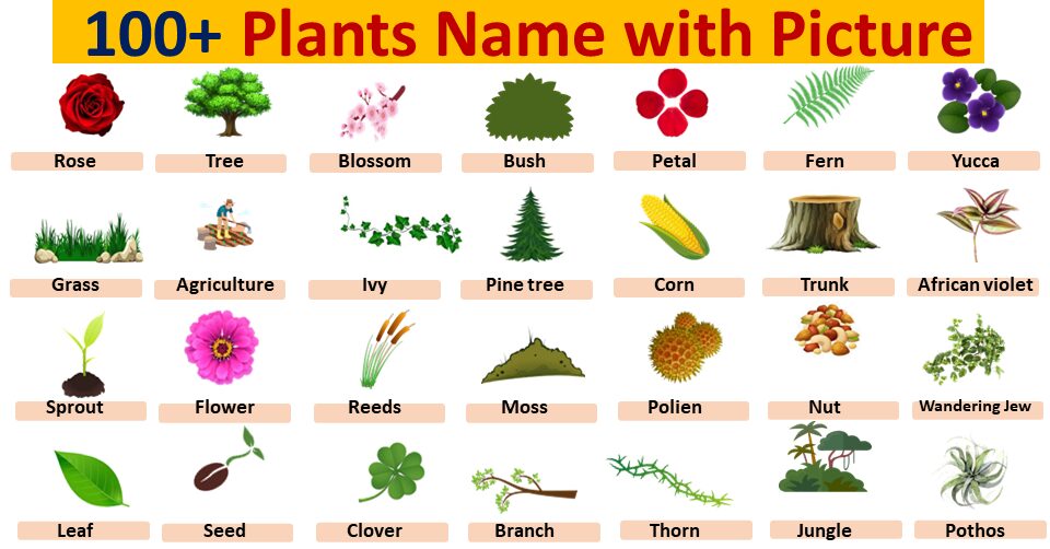 150+ plant names for boys