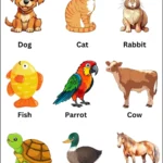 300+ Pet Names