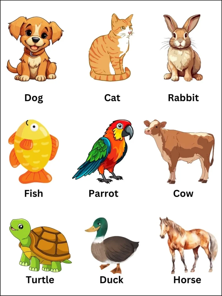 300+ Pet Names