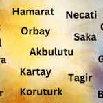 260+ Turkish Names