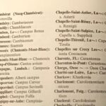 150+ Latin Names with Meanings – Ancient, Elegant & Timeless
