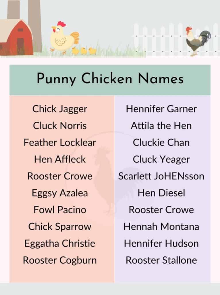 150+ Funny Chicken Names