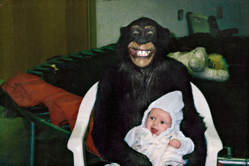 200+ famous monkey names from movies, cartoons, games, literature, and pop culture