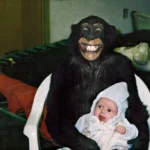 200+ famous monkey names from movies, cartoons, games, literature, and pop culture