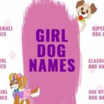 190+ Cute girl dog names