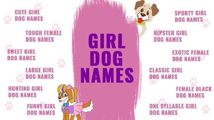190+ Cute girl dog names